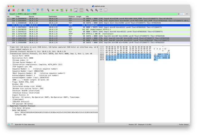 Proxy protocol v1